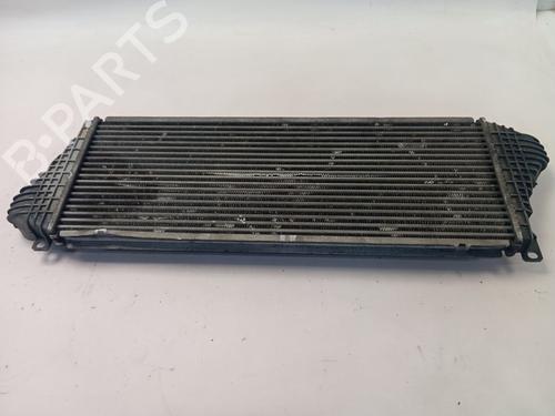 Intercooler MERCEDES-BENZ SPRINTER 5-t Platform/Chassis (B906) 518 CDI 4x4 (906.153, 906.155, 906.253, 906.255) | BP28516152M30 