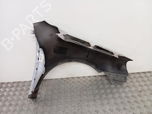 Left front fenders VW GOLF V (1K1)  | BP23037822C41 