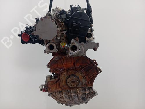 Engine FORD PUMA (J2K, CF7) | BP39246441M1 - Image 8