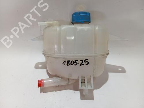 Used Expansion tank FIAT QUBO (225_) 1.3 D Multijet (225AXE1A, 225CXE1A, 225AXH1A, 225AXL1A,... (95 hp) 27166361