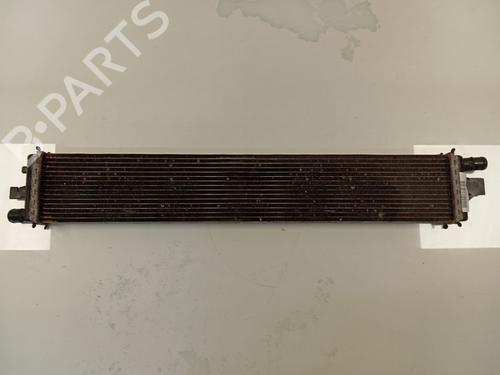 Used Water radiator NISSAN NV400 Van (X62, X62B) [2011-2025]  28031013