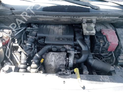 - Image 5