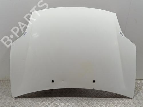 Used Hood FIAT BRAVO II (198_) 1.9 D Multijet (198AXB1A) (120 hp) 28316925