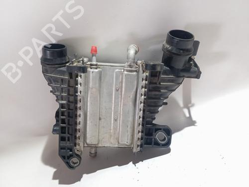 Intercooler RENAULT KANGOO III Box Body/MPV 1.5 Blue dCi 95 (FJAB) | BP36991194M30 - Image 2