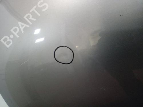 Left rear door NISSAN QASHQAI / QASHQAI +2 I (J10, NJ10, JJ10E)  | BP13697399C4 