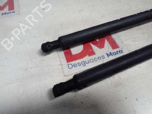 Gasdæmper bagklap CITROËN C3 II (SC_) | BP14127503C138