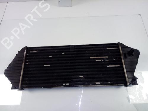 Intercooler MERCEDES-BENZ M-CLASS (W163)  | BP17047451M30 