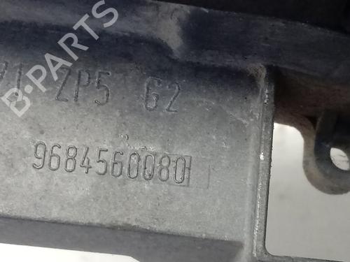 Front left exterior door handle CITROËN C3 I (FC_, FN_)  | BP15484966C128 