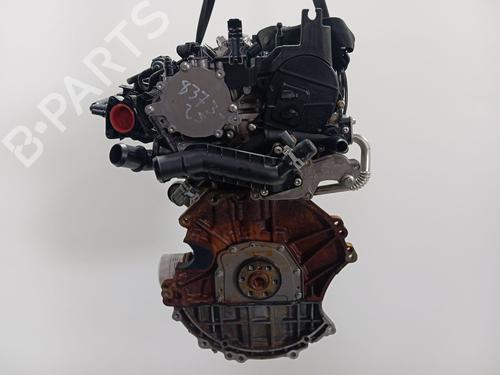 Engine FORD PUMA (J2K, CF7) | BP39246435M1 - Image 6