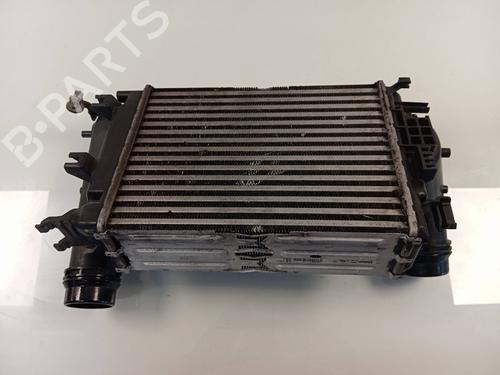 Intercooler RENAULT TALISMAN (LP_)  | BP20089149M30 