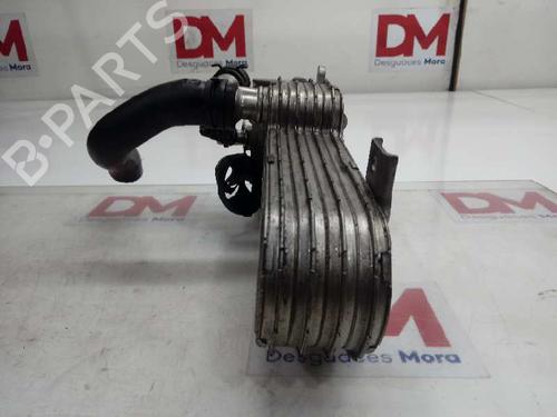 Egr AUDI A3 (8P1) 2.0 TDI 16V | BP14129062M69 