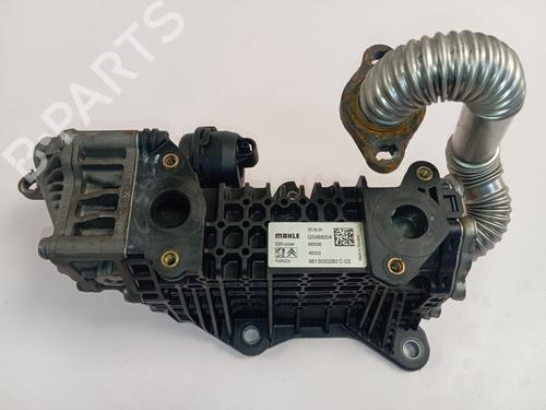 Used Egr Egr 38557141 38557141