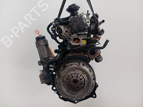 Engine SEAT LEON (1M1)  | BP39668519M1  - Image 8
