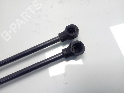 Hood lift support RENAULT KANGOO / GRAND KANGOO II (KW0/1_)  | BP17829959C139 