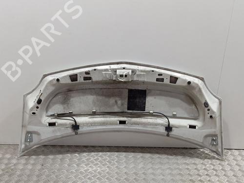 Hood RENAULT KANGOO / GRAND KANGOO II (KW0/1_) 1.5 dCi 70 (KW0V, KW0A) | BP22567165C1 