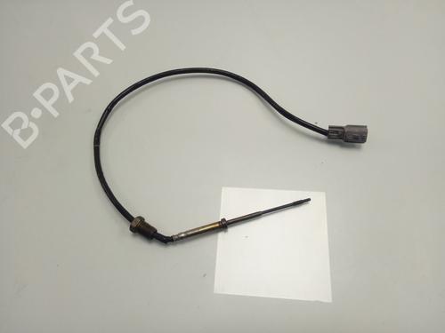 Annen NISSAN JUKE (F15) [2010-2019]  21004136