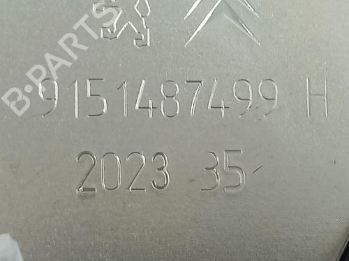Tailgate lock PEUGEOT 2008 II (UD_, US_, UY_, UJ_, UR_, UC_)  | BP29396157C101 
