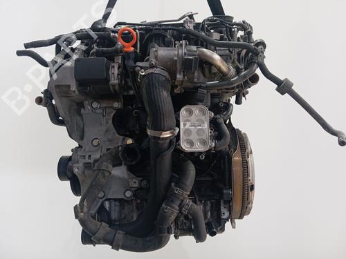 Engine VW GOLF VI (5K1) 1.6 TDI | BP36074320M1  - Image 8