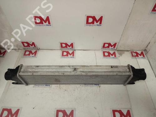 Intercooler OPEL COMBO Box Body/MPV (X12) 1.3 CDTI (B05) | BP12659299M30 