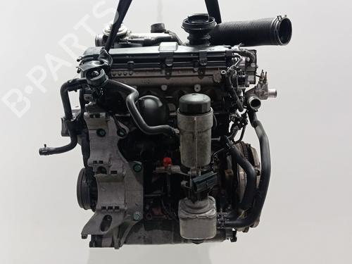 Engine VW GOLF IV (1J1)  | BP32019131M1 