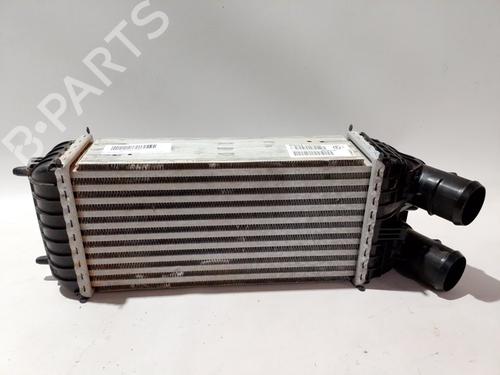 Intercooler OPEL CROSSLAND X / CROSSLAND (P17, P2QO)  | BP30684966M30 