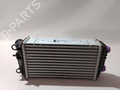 Intercooler Intercooler PEUGEOT 2008 II (UD_, US_, UY_, UJ_, UR_, UC_) 1.2 PureTech 100 (USHNK) (101 hp) 37264207 37264207