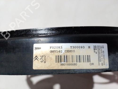 Radiator fan CITROËN C3 III Van (SX_, SY_) | BP30566773M35