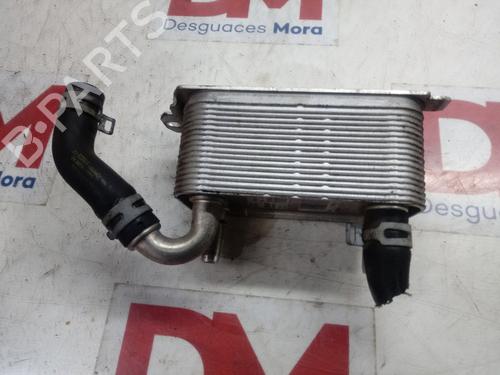 Used Oil radiator FORD FOCUS III 2.0 TDCi (163 hp) 14132520
