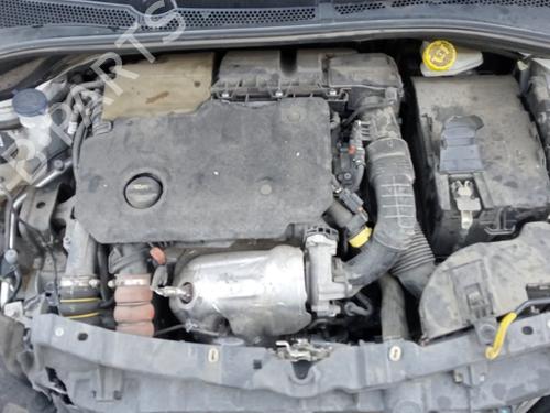 Bremselys CITROËN C3 III (SX)  | BP16960022L11 