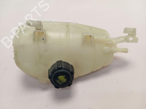 Expansion tank RENAULT KANGOO (KC0/1_)  | BP26187465C120 