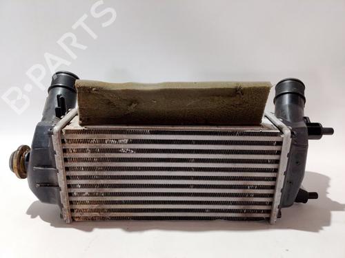 Intercooler FORD ECOSPORT  | BP30612783M30 