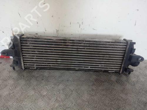 Intercooler RENAULT TRAFIC II Bus (JL)  | BP29409869M30 