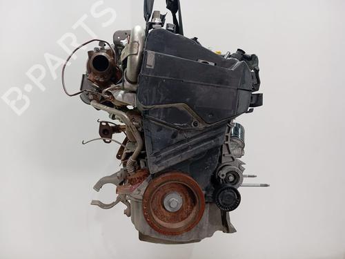 Engine RENAULT KANGOO / GRAND KANGOO II (KW0/1_)  | BP25925753M1 