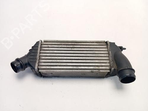 Intercooler Intercooler CITROËN JUMPY II (VF7) [2007-2016] 36357965 36357965