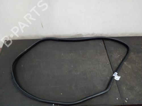 Rubber door seal BMW X6 (E71, E72)  | BP15897489C142 