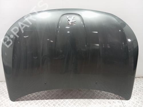 Motorhjelm PEUGEOT 4008 [2012-2026]  32669180