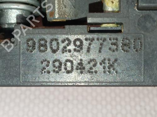 Front left exterior door handle PEUGEOT 208 I (CA_, CC_) 1.6 HDi | BP29270340C128 