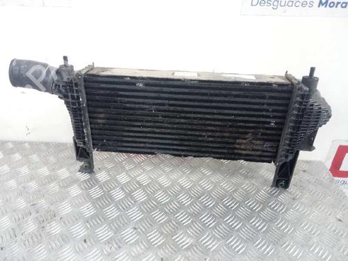 Used Intercooler NISSAN PATHFINDER III (R51) [2005-2025]  14455372