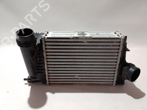 Used Intercooler Intercooler RENAULT MEGANE IV Hatchback (B9A/M/N_) [2015-2026] 36432844 36432844