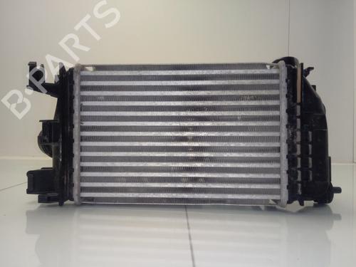 Intercooler NISSAN MICRA V (K14)  | BP12661233M30 