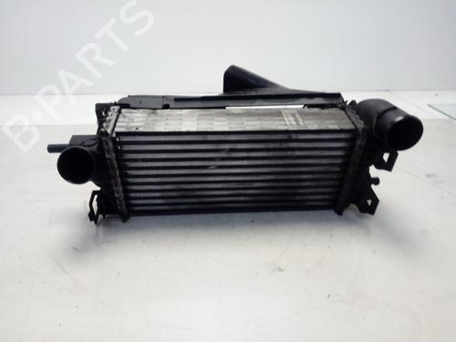 Intercooler FORD FOCUS III  | BP17047488M30 