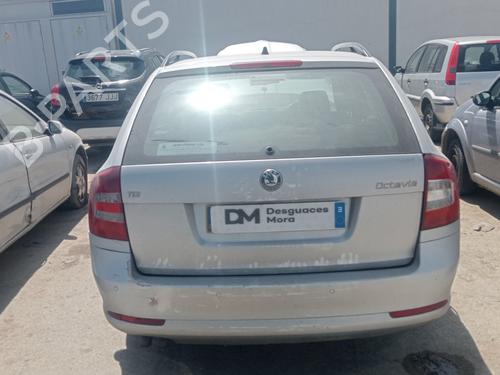 Engine SKODA OCTAVIA II Combi (1Z5) 1.9 TDI | BP25889122M1 