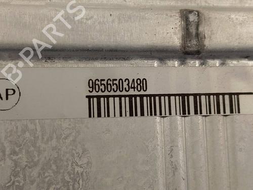 Intercooler DS DS 4 / DS 4 CROSSBACK (NX_) 1.6 THP 165 | BP29409799M30 