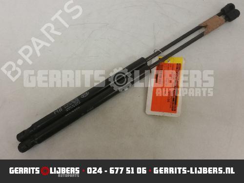Vérin de coffre/hayon KIA PICANTO I (SA) 1.0 (61 hp) 13157168
