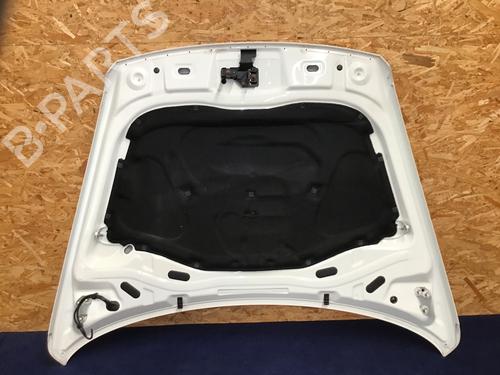 Hood VW TOUAREG (7LA, 7L6, 7L7) 3.0 V6 TDI | BP29544441C1 