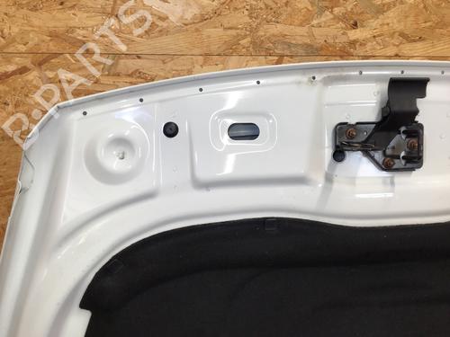 Hood VW TOUAREG (7LA, 7L6, 7L7) 3.0 V6 TDI | BP29544441C1 