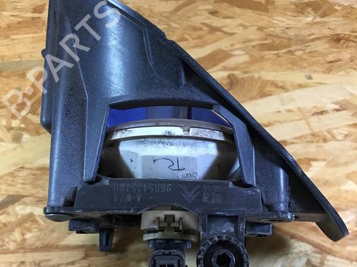 Left front fog light PEUGEOT 206+ (2L_, 2M_) 1.1 | BP31643880C30 