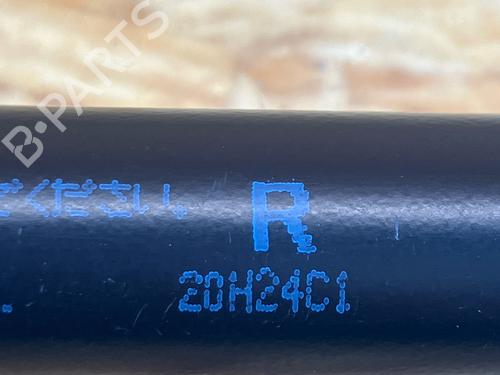 Tailgate lift support SUZUKI IGNIS III (MF, FF) 1.2 Hybrid AllGrip (ATK412) | BP32215195C138