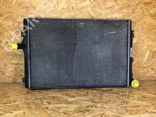 Wasserkühler für VW TOURAN (1T1, 1T2) 2.0 TDI 16V (140 hp) 31282129