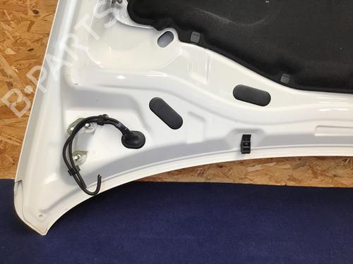 Hood VW TOUAREG (7LA, 7L6, 7L7) 3.0 V6 TDI | BP29544441C1 